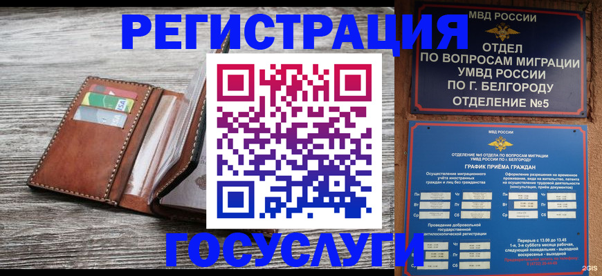 прописка 2025 в Реже
